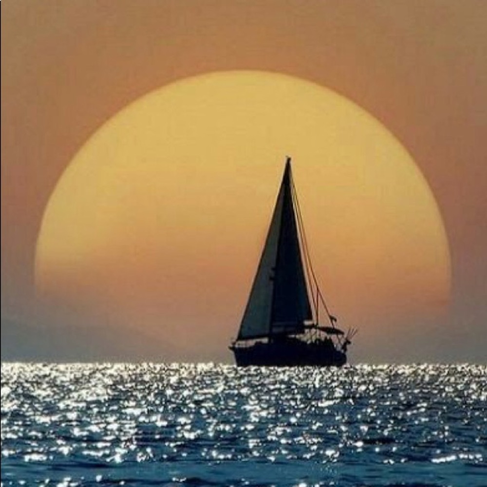 Meet your Posher, Liza